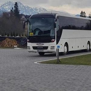autobus-31